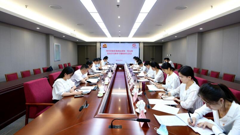 PT视讯集团党委书记、董事长任丁参加总部第一党支部党史学习教育专题组织生活会